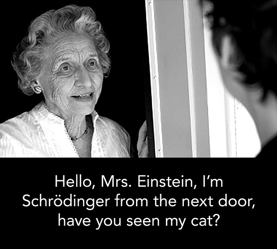 einstein-schrodinger