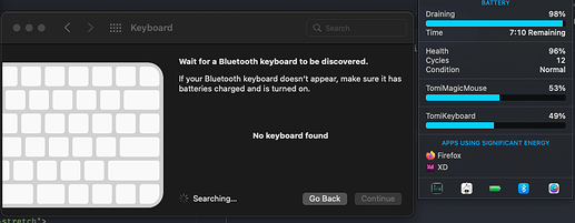 Screenshot 2022-01-18 at 19.38.18