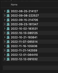 Screenshot 2022-12-12 at 13.30.15